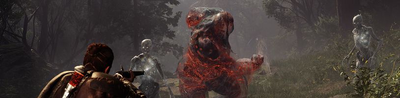 Krásná infografika prozrazuje vše o Banishers: Ghosts of New Eden